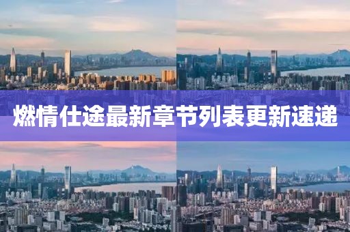 燃情仕途最新章節(jié)列表更新速遞