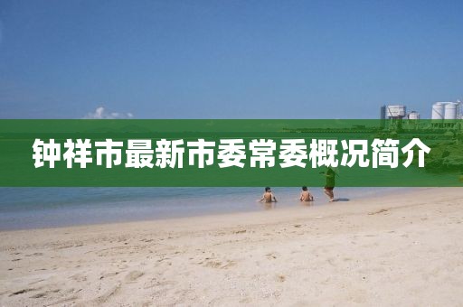 鐘祥市最新市委常委概況簡介