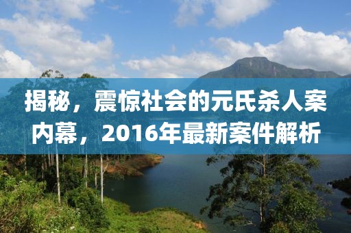 揭秘，震驚社會的元氏殺人案內(nèi)幕，2016年最新案件解析