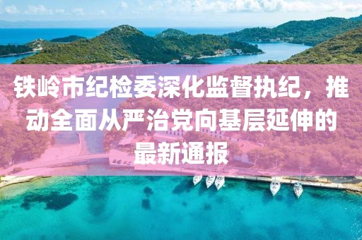 鐵嶺市紀(jì)檢委深化監(jiān)督執(zhí)紀(jì)，推動(dòng)全面從嚴(yán)治黨向基層延伸的最新通報(bào)