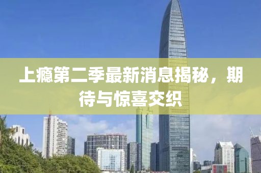 上癮第二季最新消息揭秘，期待與驚喜交織