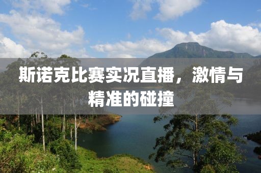 斯諾克比賽實況直播，激情與精準的碰撞