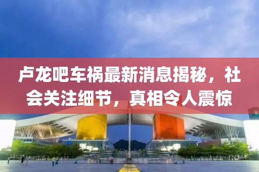 盧龍吧車禍最新消息揭秘，社會關(guān)注細(xì)節(jié)，真相令人震驚