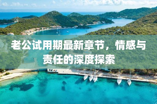 老公試用期最新章節(jié)，情感與責(zé)任的深度探索