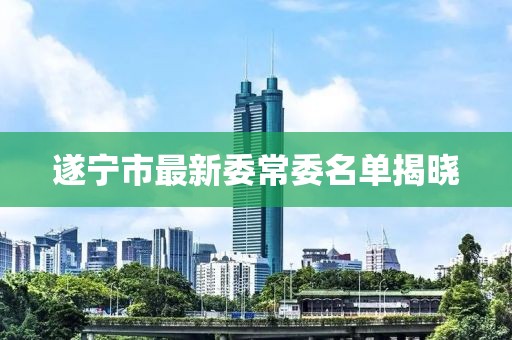遂寧市最新委常委名單揭曉