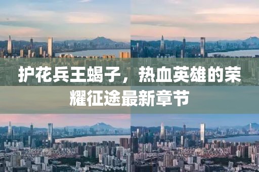 護(hù)花兵王蝎子，熱血英雄的榮耀征途最新章節(jié)