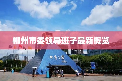 郴州市委領導班子最新概覽
