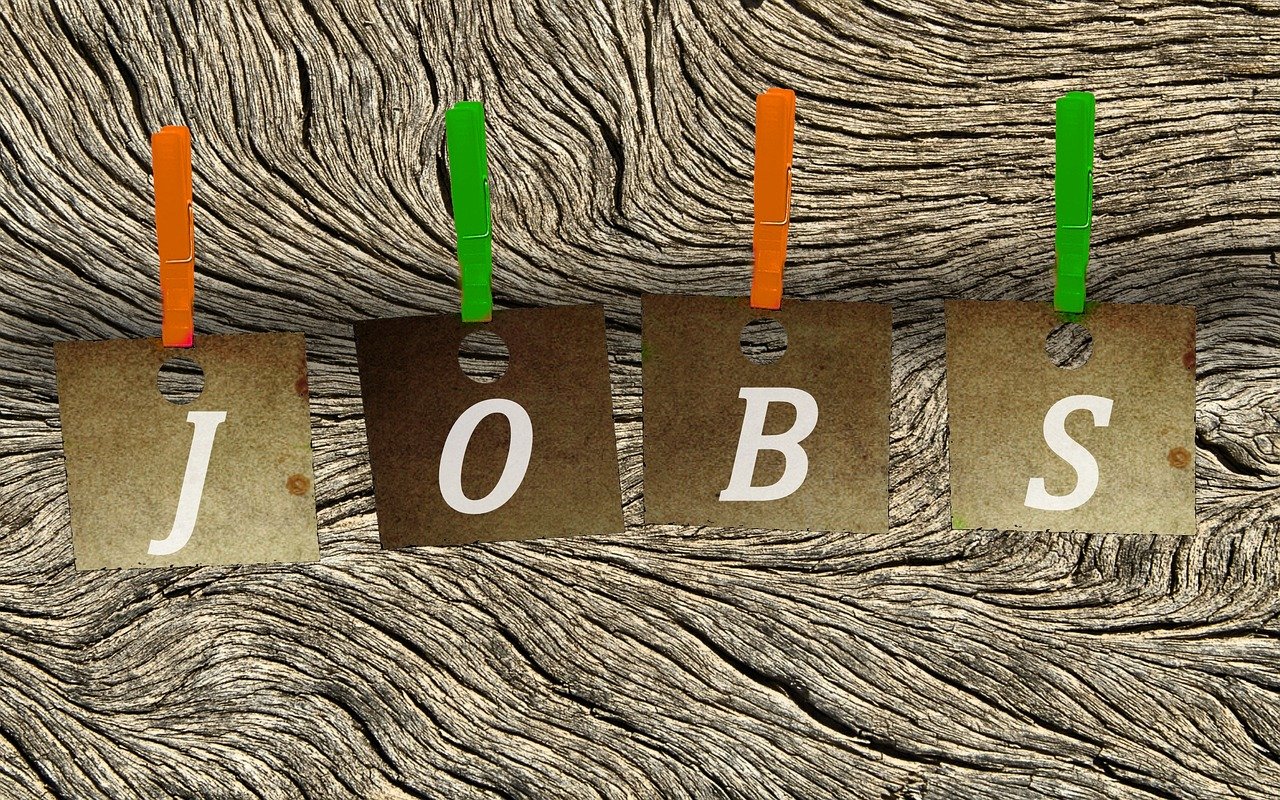 咸陽最新招聘動態(tài)揭秘，今日渭城職位大放送