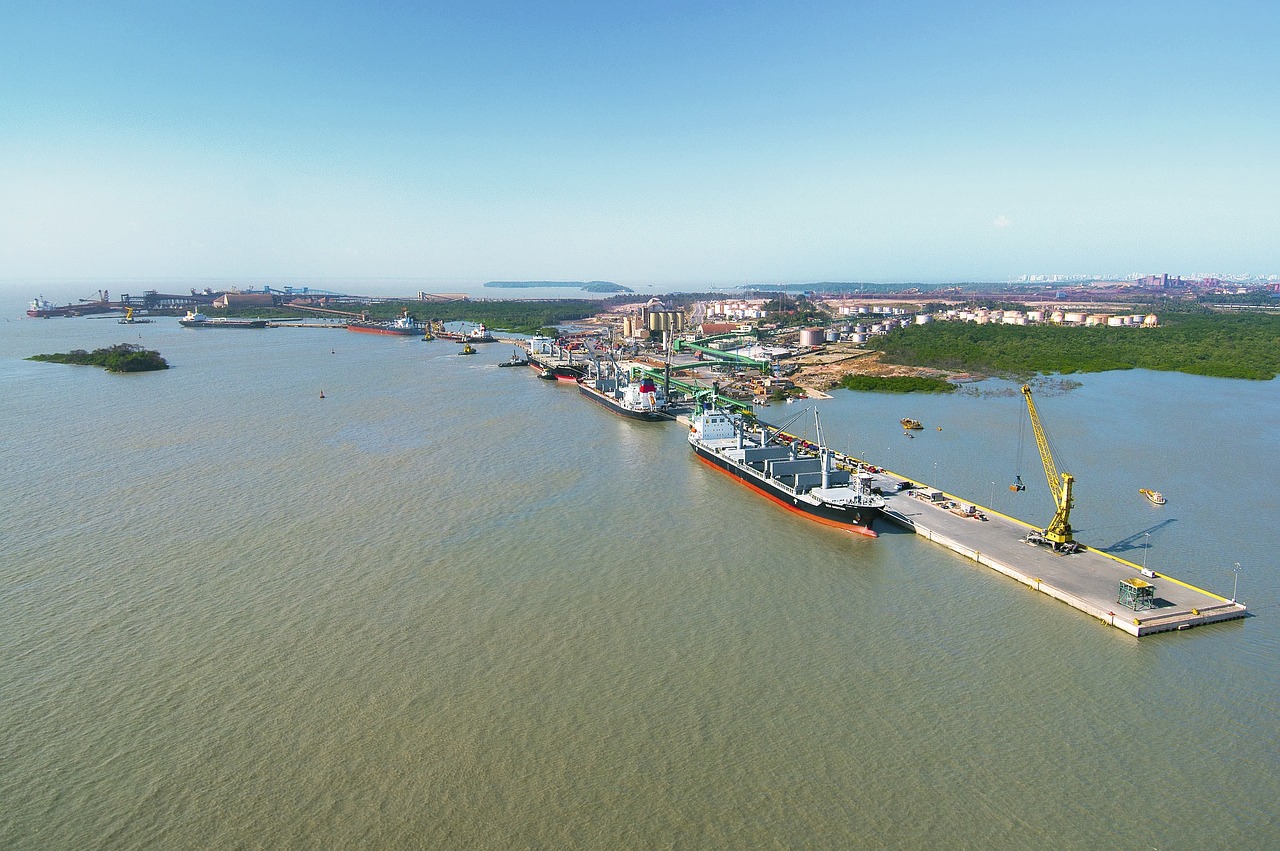 國產大豆收購最新動態(tài)，市場趨勢與產業(yè)動態(tài)深度解析