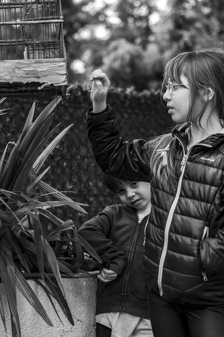 自然與科技融合的未來探索，自然界云棲最新動態(tài)揭秘