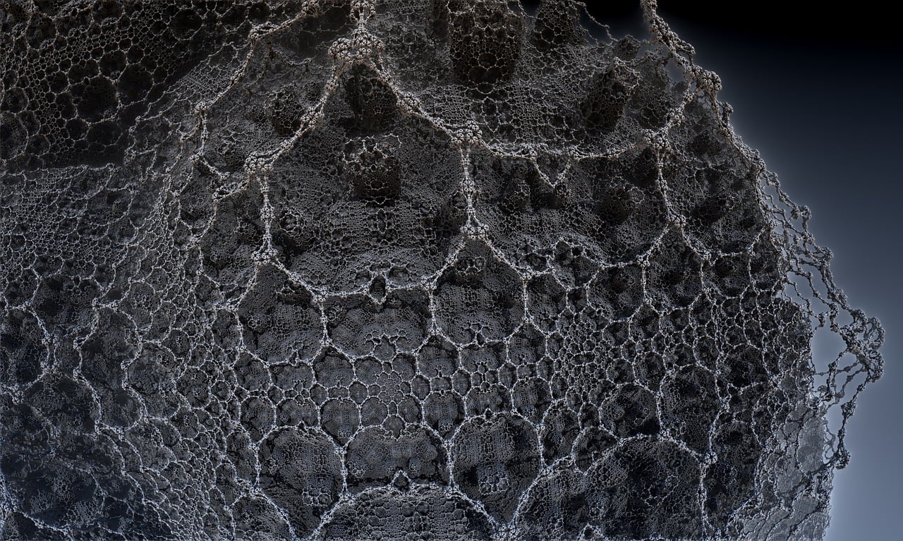 遼寧隋顯利最新動(dòng)態(tài)，傳奇人物的嶄新篇章