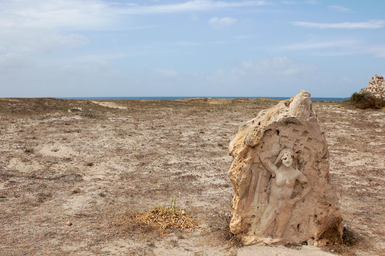 濱海旅游區(qū)新動(dòng)態(tài)，世界級(jí)旅游目的地打造最新消息