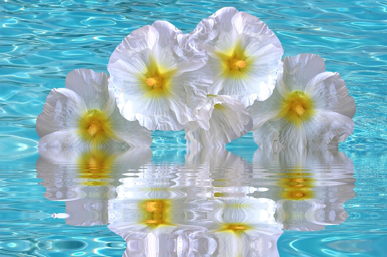 加勒比海域動態(tài)更新，海盜活動頻繁，警惕性需提升（最新報告 06月15日）